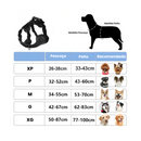 Coleira Peitoral Confortável para Cães de Todos os Tamanhos