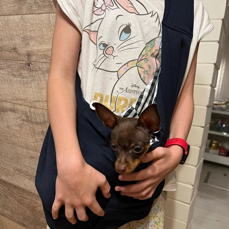 Sling Prático para Transporte Confortável de Cachorros