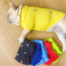 Confortável Roupinha de Polo com Botões para Pugs e Buldogues