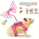 Peitoral Confortável para Roedores Pequenos: Hamsters e Porquinhos da Índia em Liberdade