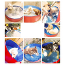 Banheira Dobrável para Cachorros: Conforto e Diversão em Qualquer Lugar