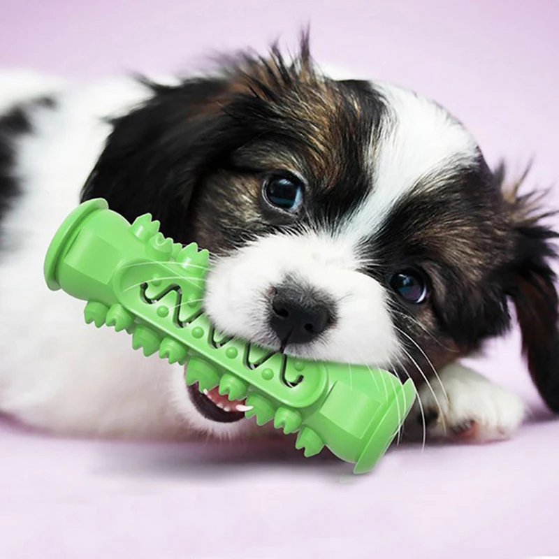Mordedor Limpa Dentes: Conforto e Saúde Bucal para Seu Cão