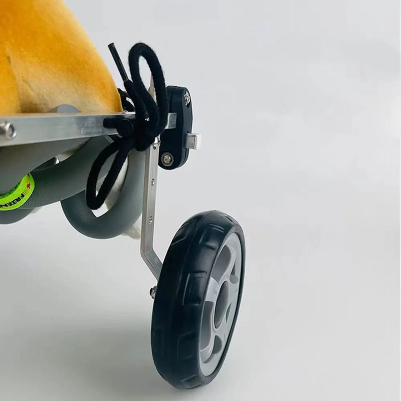 Cadeira de Rodas para Cães com Mobilidade Reduzida - Proporcione Conforto e Liberdade