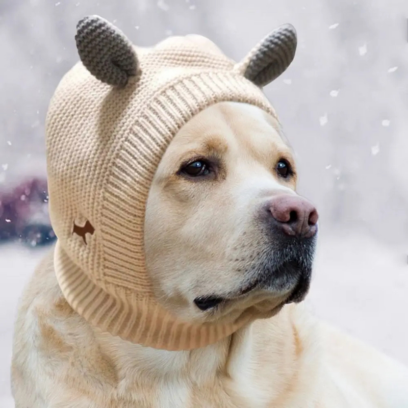 Chapéu de Inverno Confortável para Cachorros