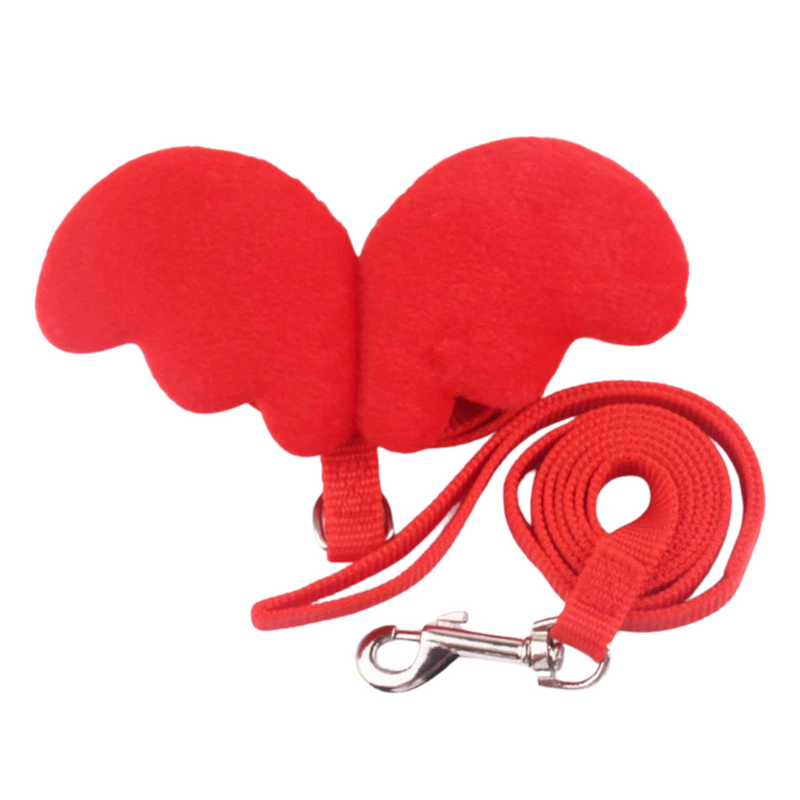 Peitoral Com Asas de Anjo e Guia para Gatos e Cães: Conforto E Estilo Para Seus Passeios
