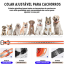 Coleira Eletrônica para Treinamento de Cães – Transforme o Comportamento do Seu Amigo