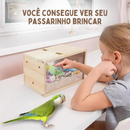 Ninho de Madeira com Visor de Acrílico para Periquitos e Aves - Conforto e Segurança para Seus Pássaros