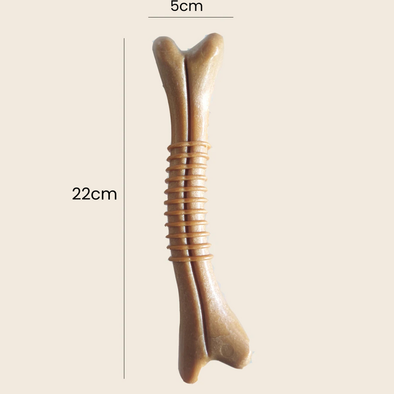 Mordedor Durável para Higiene Bucal de Cães