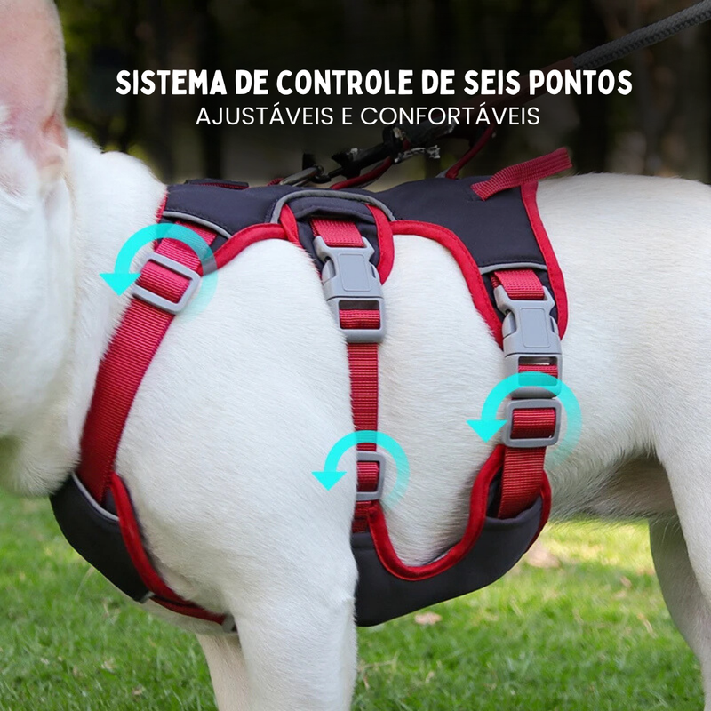 Coleira Peitoral Ajustável para Cachorros – Conforto e Segurança com Reflexividade em 6 Pontos