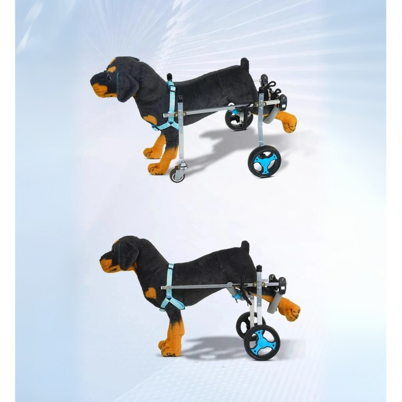 Cadeira de Rodas para Cachorros: Suporte Completo com 2 ou 4 Rodas para Liberdade e Conforto