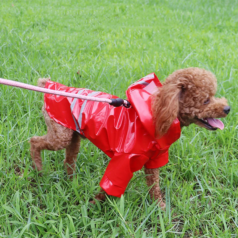 Capa de Chuva Pet com Capuz para Conforto e Proteção