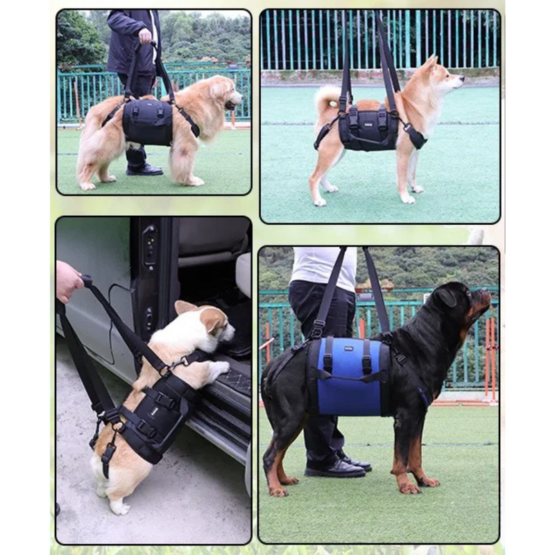 Sling Prático para Apoio de Pernas Traseiras e Quadris de Cachorros com Mobilidade Reduzida