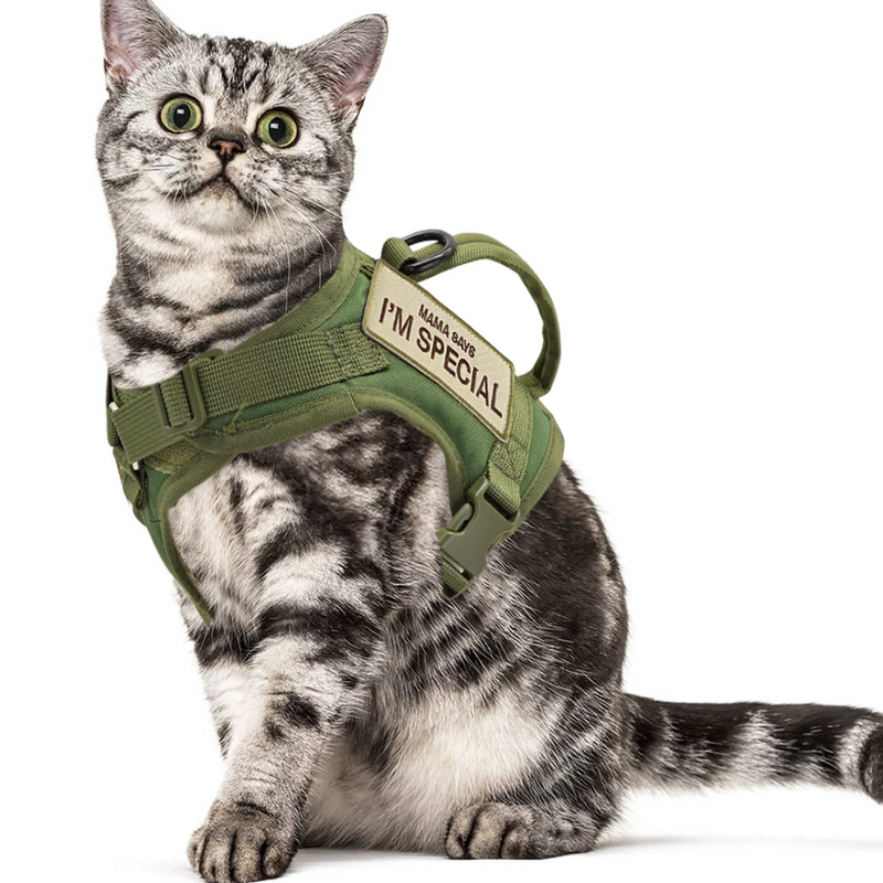 Arnês Tático para Gatos: Segurança e Liberdade em Cada Passeio