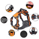 Coleira Peitoral Confortável para Cães de Todos os Tamanhos