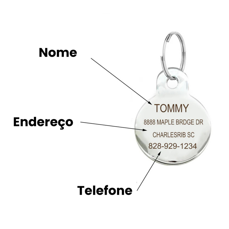 Colar Personalizado para Gato: Pingente de Identificação com Nome, Telefone e Endereço