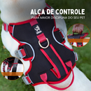 Coleira Peitoral Ajustável para Cachorros – Conforto e Segurança com Reflexividade em 6 Pontos