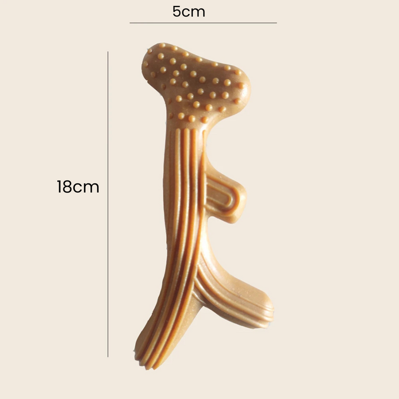 Mordedor Durável para Higiene Bucal de Cães