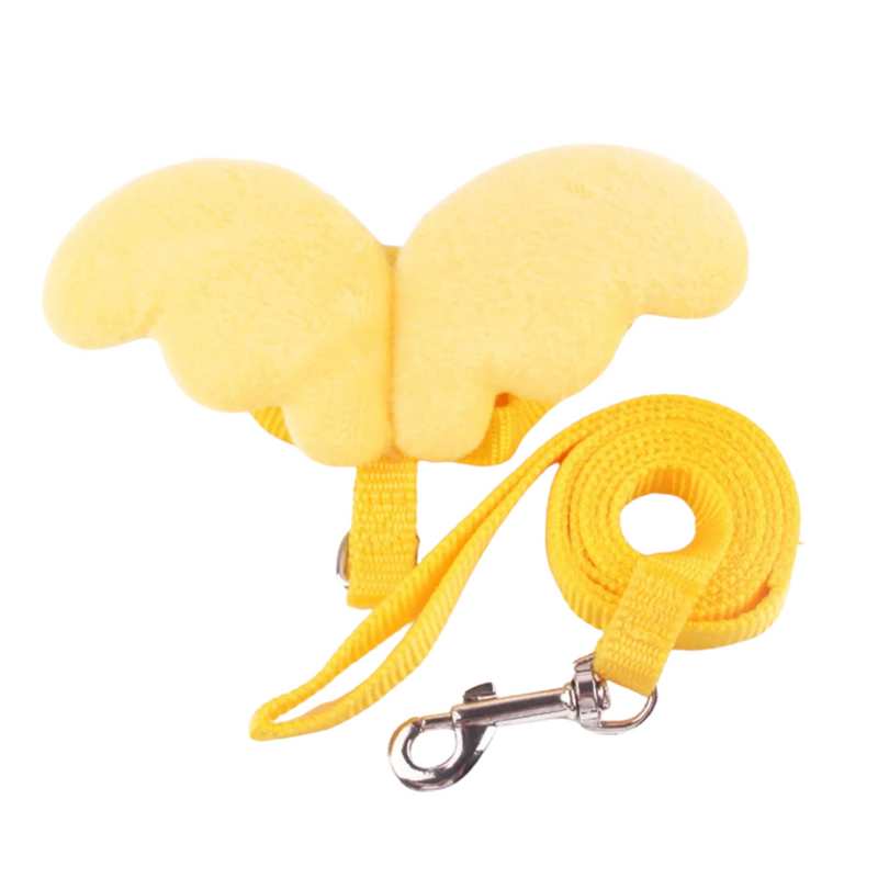Peitoral Com Asas de Anjo e Guia para Gatos e Cães: Conforto E Estilo Para Seus Passeios