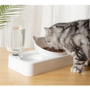 Comedouro e Bebedouro Elevado Ergonômico Duplo para Cães e Gatos – Conforto e Praticidade na Alimentação