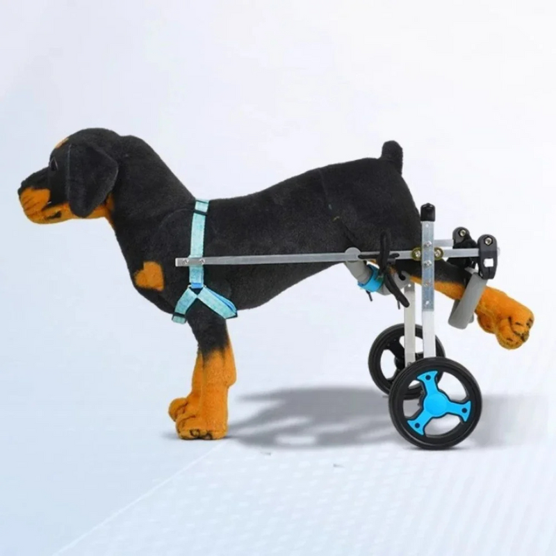 Cadeira de Rodas para Cachorros: Suporte Completo com 2 ou 4 Rodas para Liberdade e Conforto