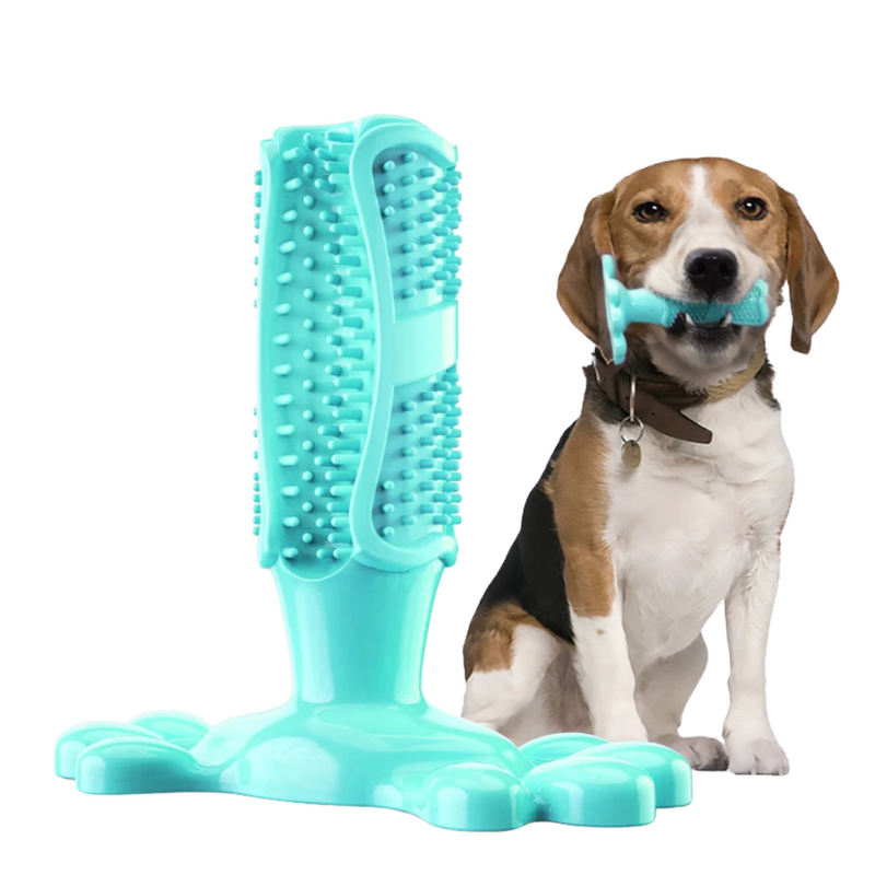 Mordedor de Escova de Dente para Pets - Conforto e Cuidado na Hora de Brincar