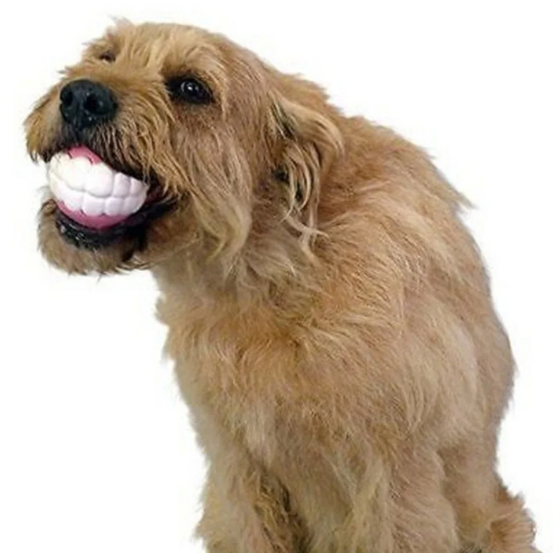 Bola Pet Sorriso Dentária para Momentos de Alegria Canina