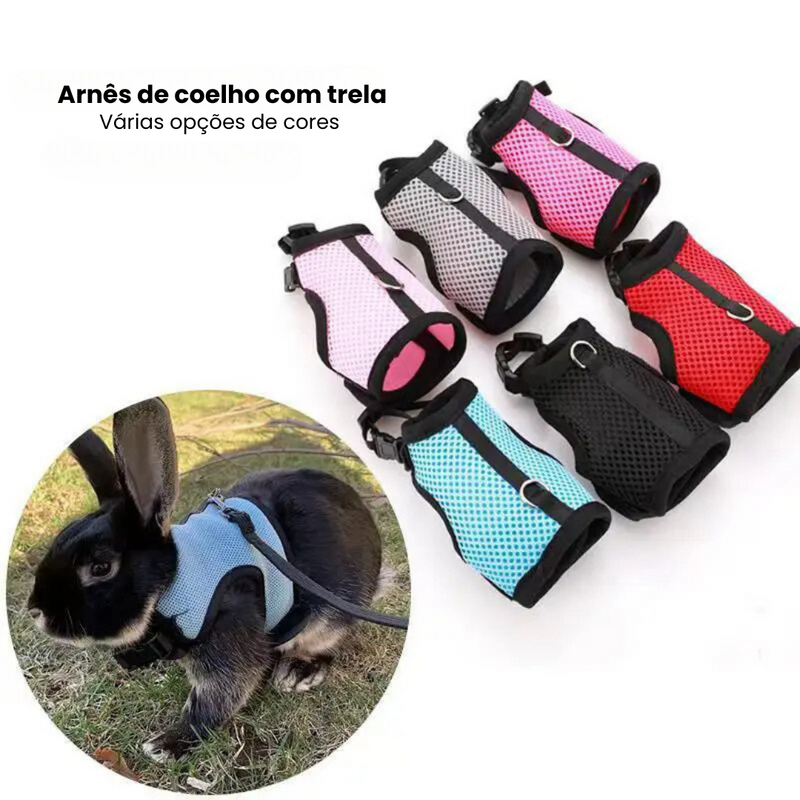 Peitoral Confortável para Coelhos com Guia para Passeios Seguros