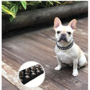 Coleira de Couro com Spikes: Estilo e Conforto para Seu Cão