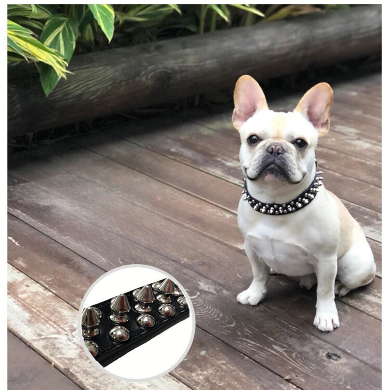 Coleira de Couro com Spikes: Estilo e Conforto para Seu Cão
