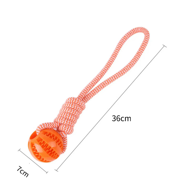 Corda Mordedor com Bolinha e Esconderijo para Petiscos - Diversão e Estímulo para Seu Pet