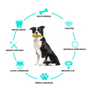 Mordedor Pet que Promove Sorrisos Saudáveis