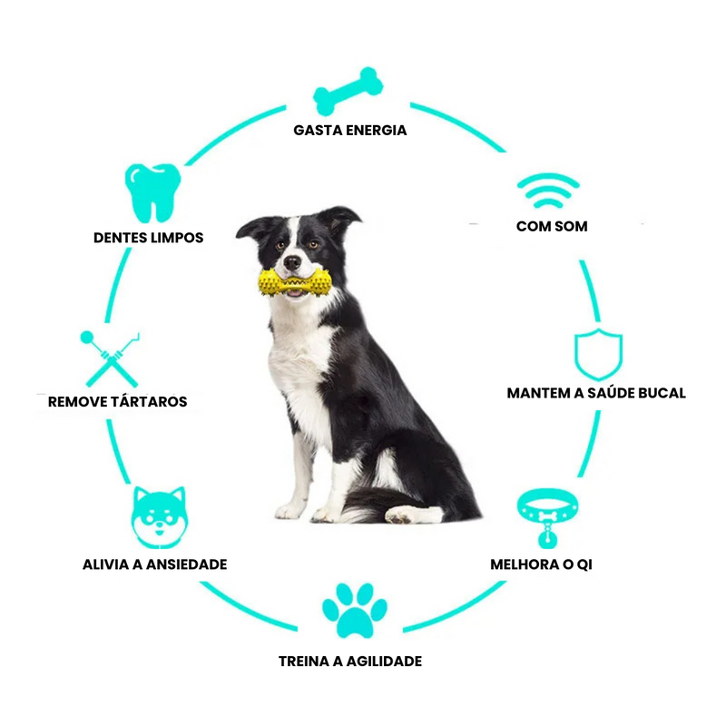 Mordedor Pet que Promove Sorrisos Saudáveis
