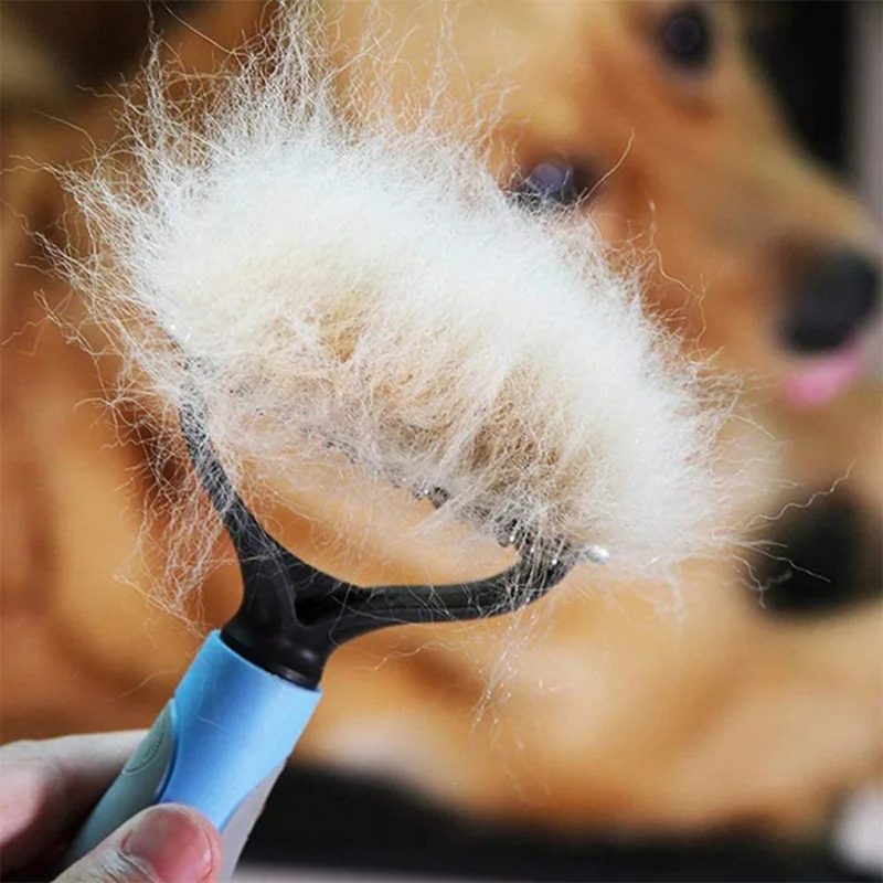 Escova Pet Rake Para Cães: Conforto e Limpeza Para Seu Melhor Amigo