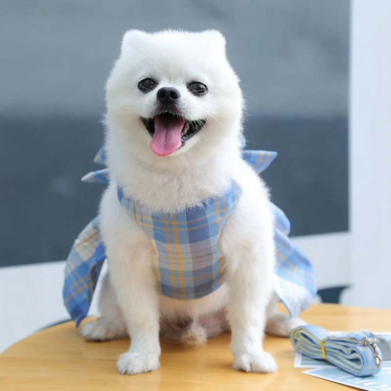 Vestido Elegante com Laço para Festas de Cães