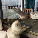 Túnel de Bolinhas com Ventosa para Gatos: Diversão Segura e Interativa