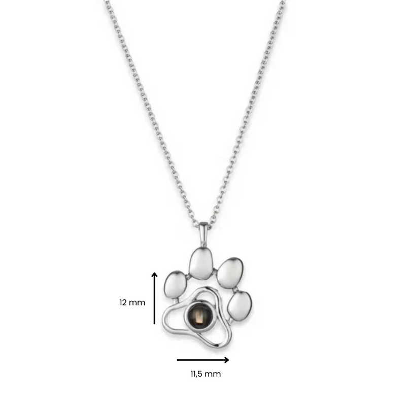 Colar Eternize: Preserve a Memória do Seu Pet com Estilo