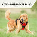 Coleira Peitoral Ajustável com Duas Fivelas para Conforto e Segurança