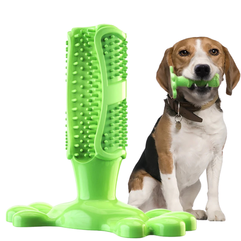 Mordedor de Escova de Dente para Pets - Conforto e Cuidado na Hora de Brincar