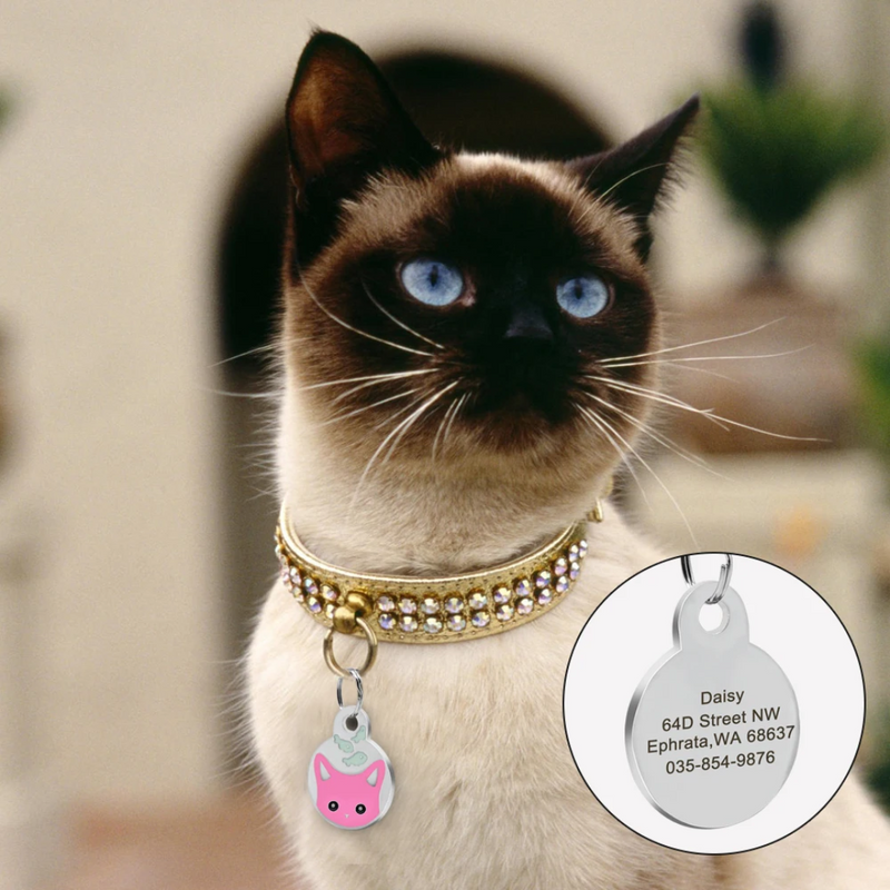 Colar Personalizado para Gato: Pingente de Identificação com Nome, Telefone e Endereço