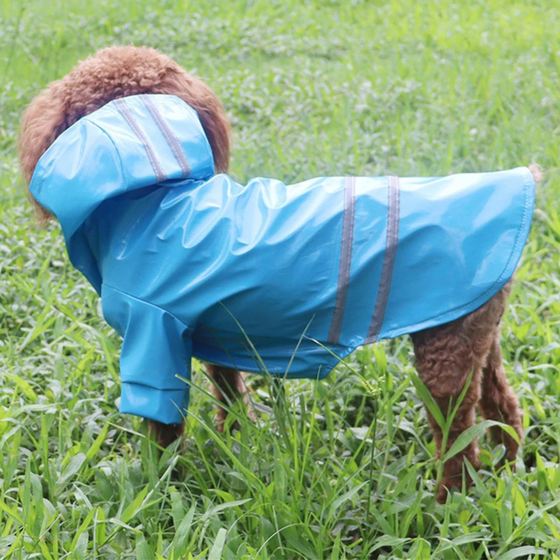 Capa de Chuva Pet com Capuz para Conforto e Proteção