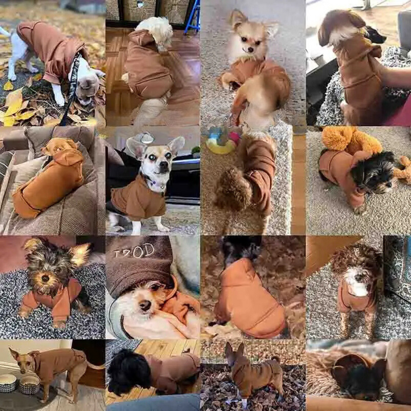 Moletom com Capuz para Cachorros: Conforto e Estilo nos Dias Frios