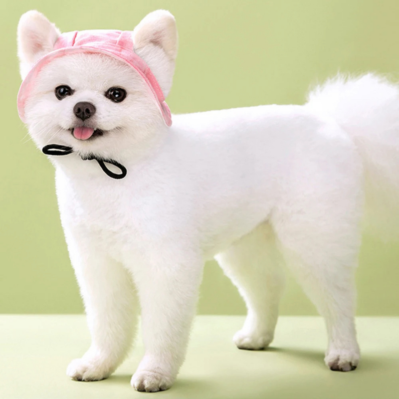 Boné Pet Com Abertura para Orelhas e Cordinha para Conforto e Estilo