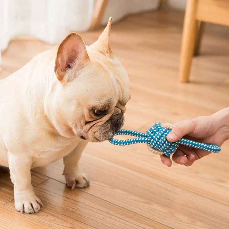 Brinquedo de Corda Resistente para Cachorros – Diversão e Conforto para Seu Pet