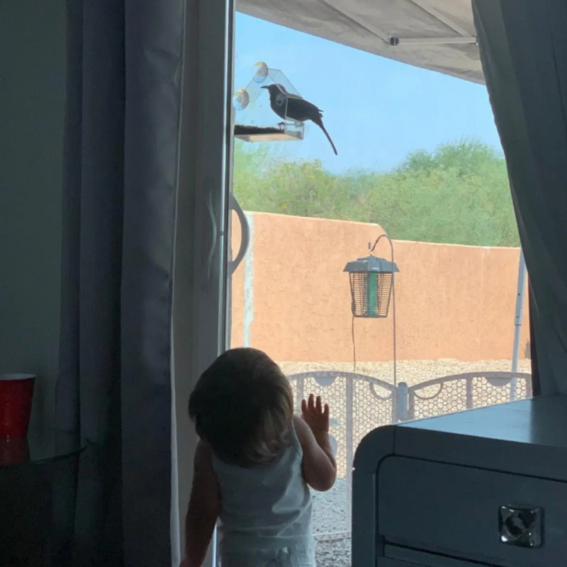 Comedouro Para Pássaros Casinha Atraente Para Beija-Flores no Seu Jardim