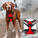 Coleira Peitoral Ajustável com Duas Fivelas para Conforto e Segurança