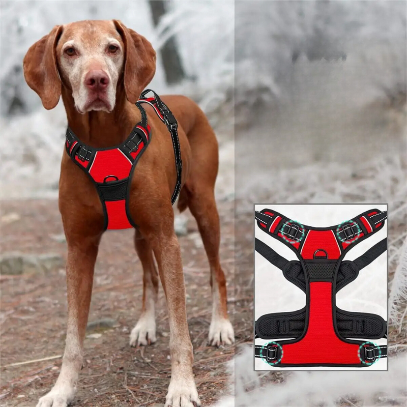 Coleira Peitoral Ajustável com Duas Fivelas para Conforto e Segurança