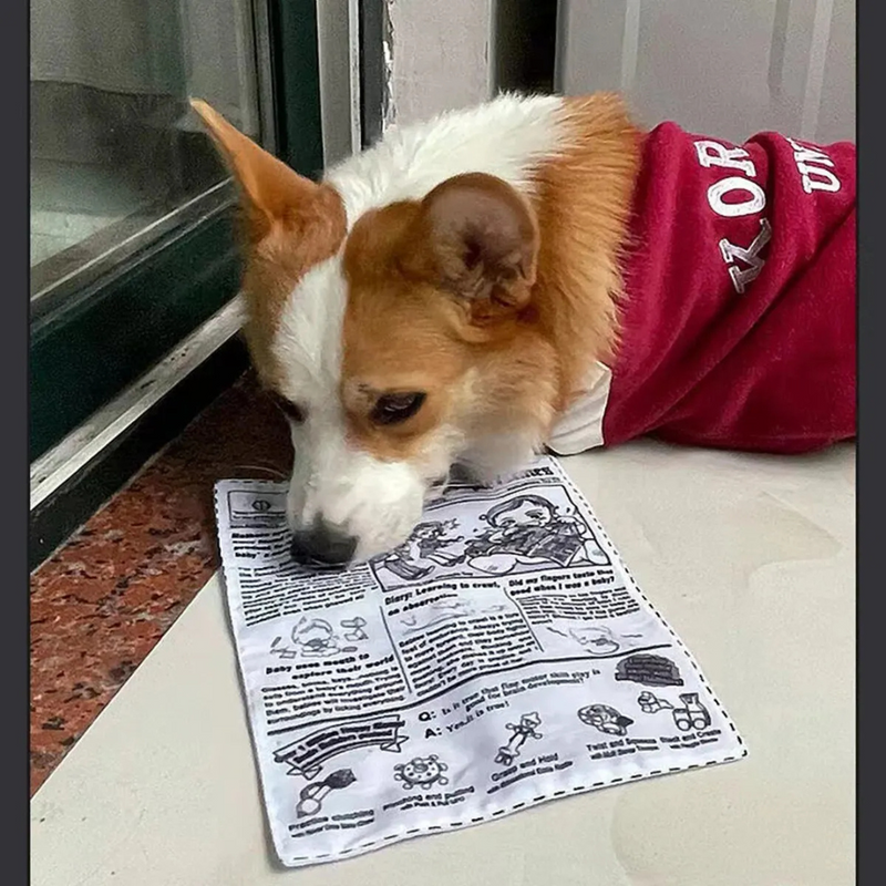 Brinquedo de Tecido Resistente para Pets: Diversão Segura e Duradoura