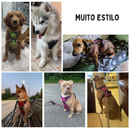 Coleira Peitoral Confortável para Cães de Todos os Tamanhos