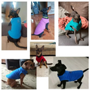 Suéter de Lã Confortável para Dachshunds e Pugs - Estilo e Aquecimento para Seu Melhor Amigo