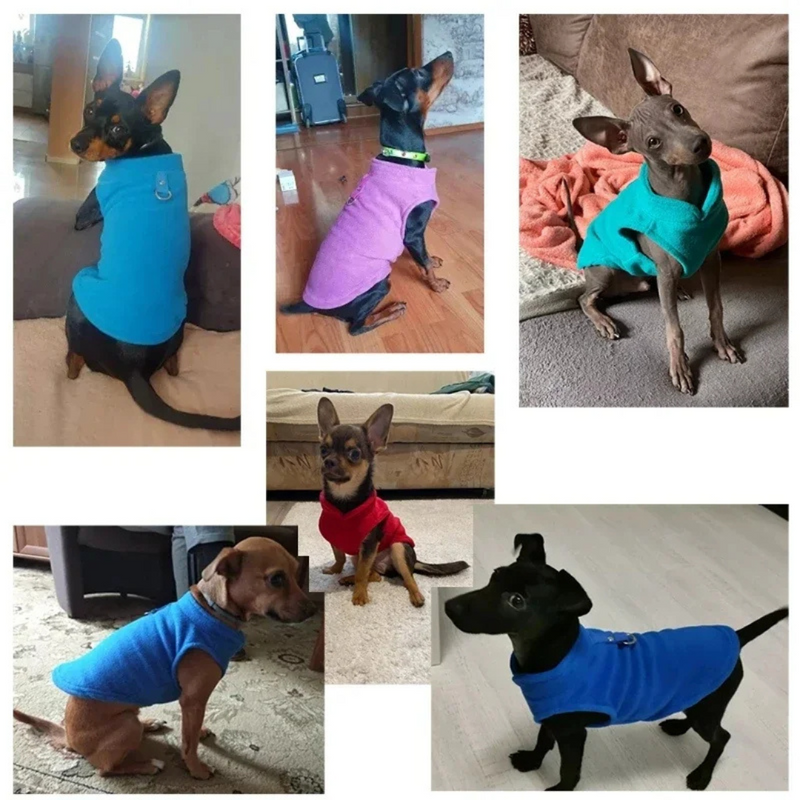 Suéter de Lã Confortável para Dachshunds e Pugs - Estilo e Aquecimento para Seu Melhor Amigo